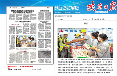 PA尊龙凯时西北集团珑樾府项目高温慰问——《陕西日报》